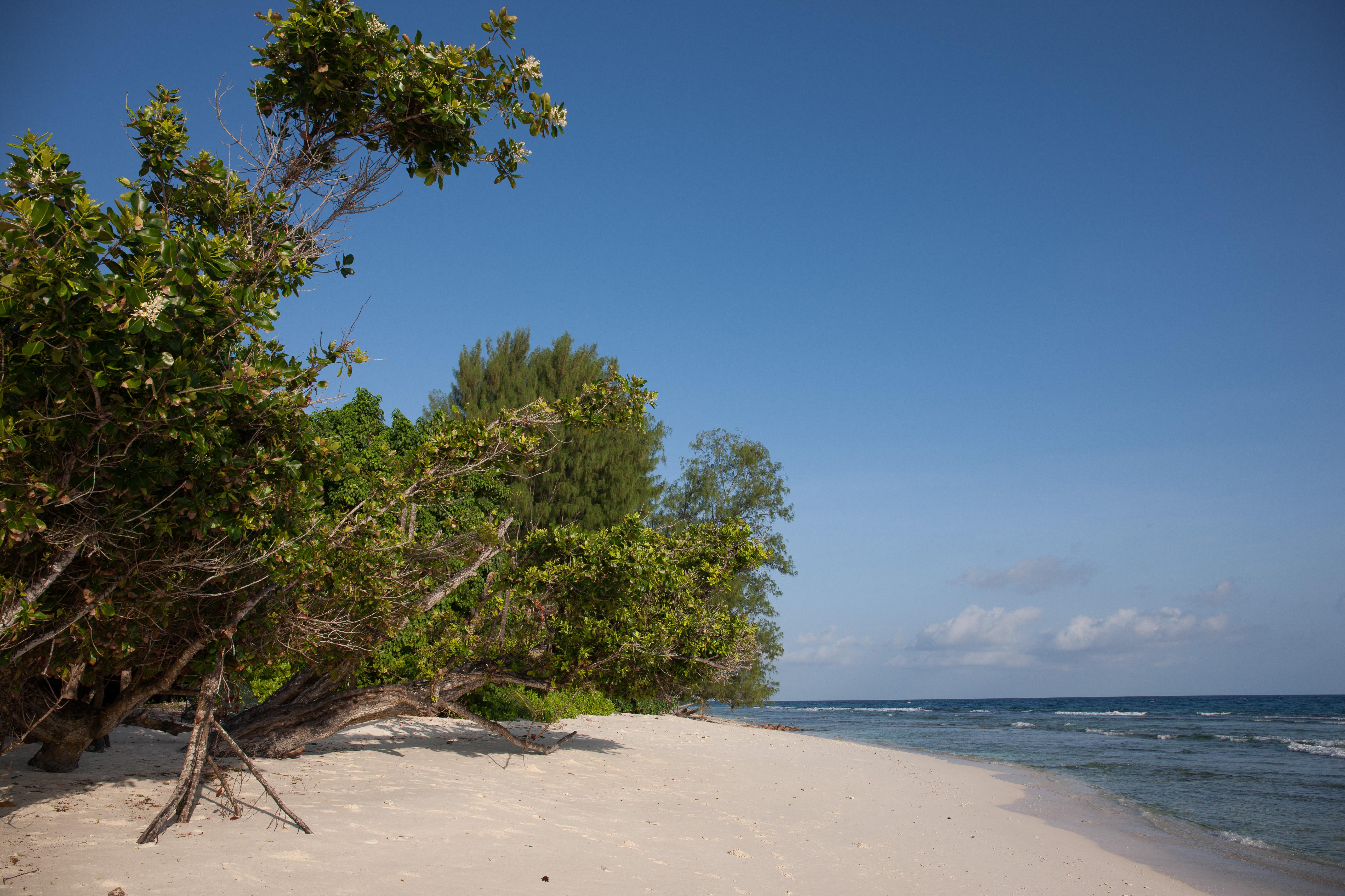 Le Relax Luxury Lodge (Adults Only) La Digue Luaran gambar