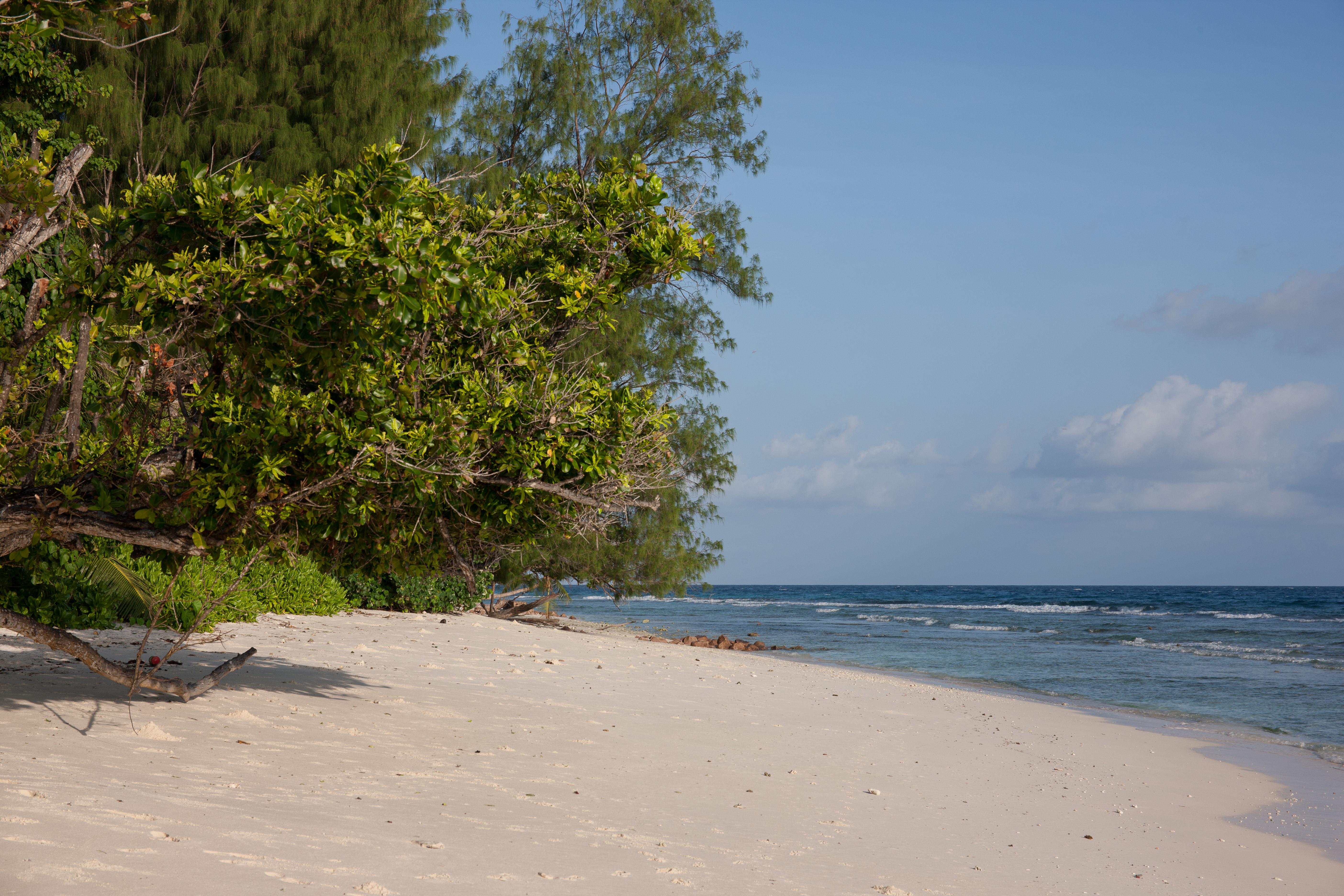 Le Relax Luxury Lodge (Adults Only) La Digue Luaran gambar